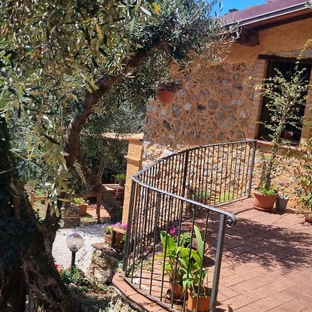 La Merla Casa Vacanze Camaiore Exterior foto