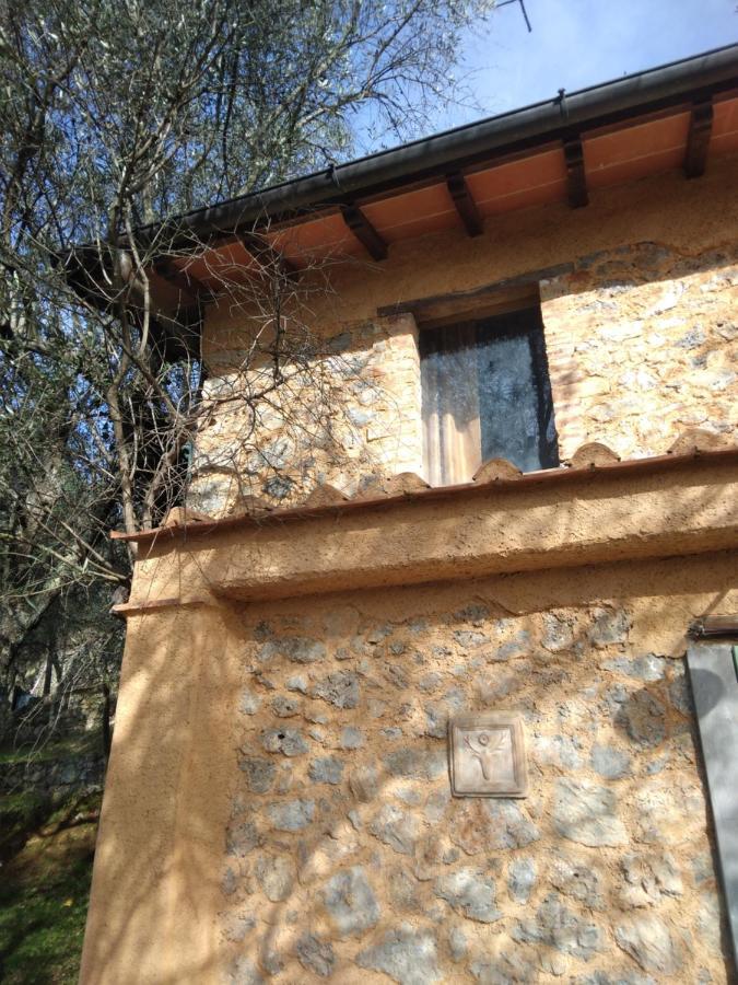 La Merla Casa Vacanze Camaiore Exterior foto