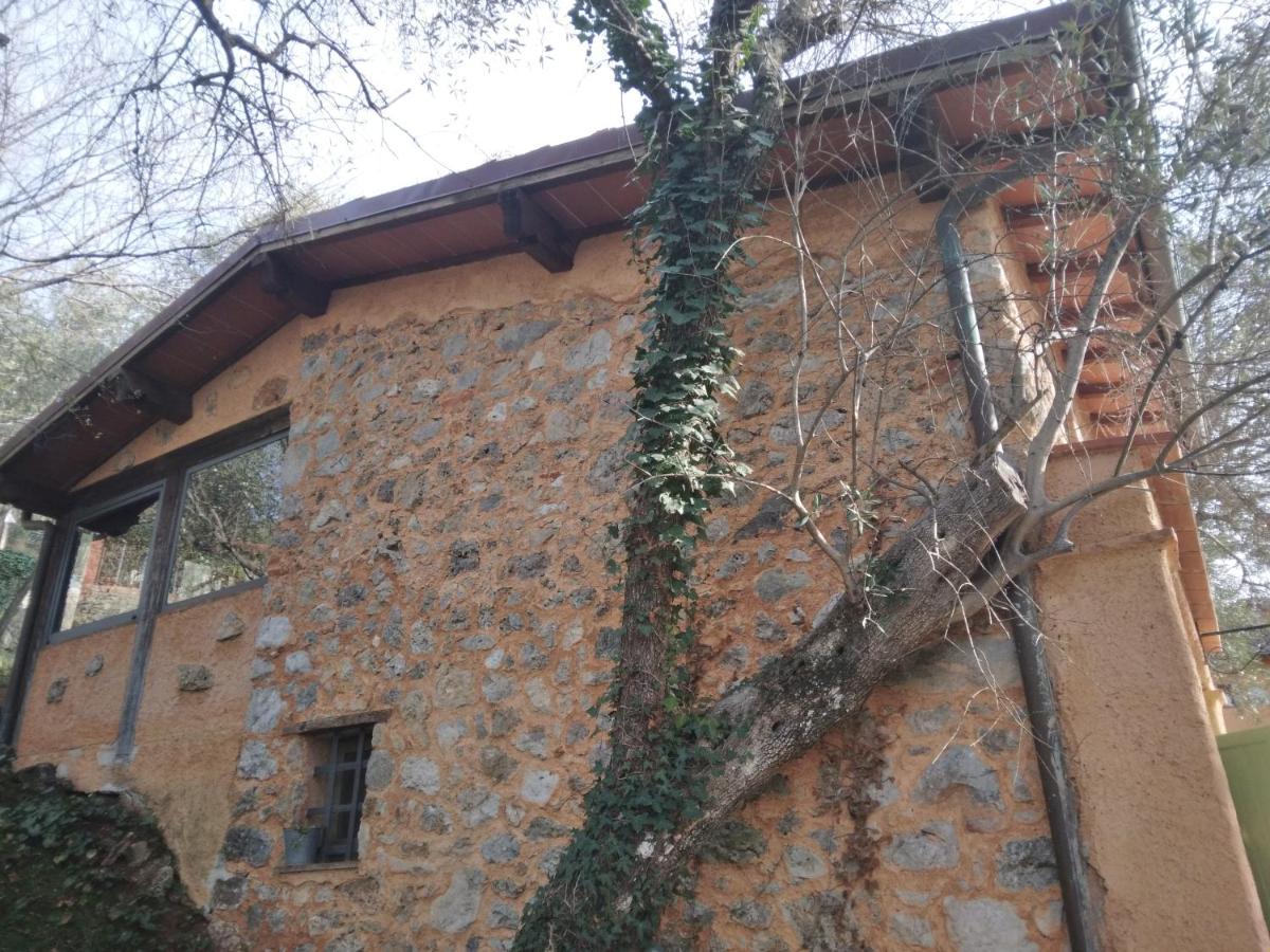 La Merla Casa Vacanze Camaiore Exterior foto