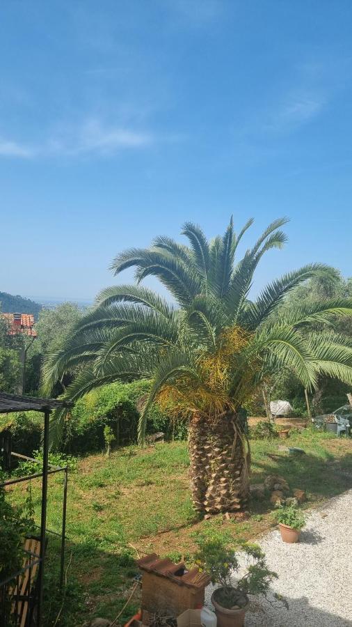La Merla Casa Vacanze Camaiore Exterior foto