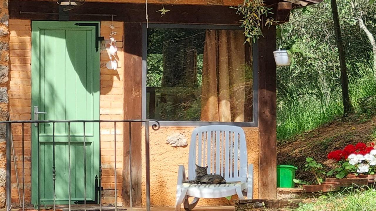 La Merla Casa Vacanze Camaiore Exterior foto