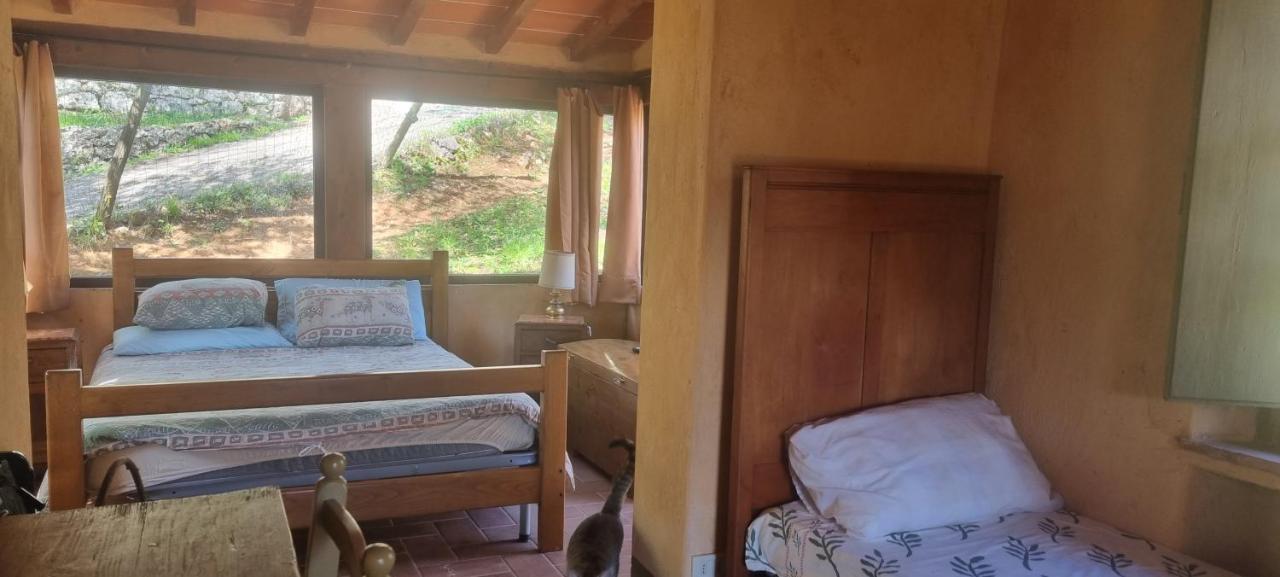 La Merla Casa Vacanze Camaiore Exterior foto