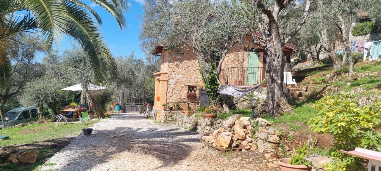 La Merla Casa Vacanze Camaiore Exterior foto